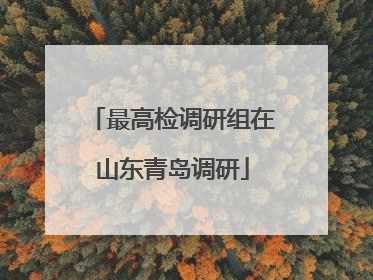 最高检调研组在山东青岛调研