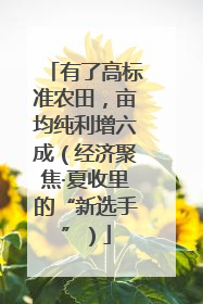有了高标准农田，亩均纯利增六成（经济聚焦·夏收里的“新选手”）