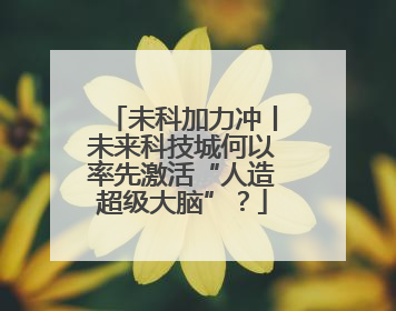 未科加力冲丨未来科技城何以率先激活“人造超级大脑”？