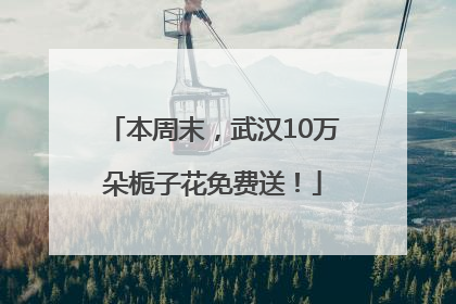 本周末，武汉10万朵栀子花免费送！