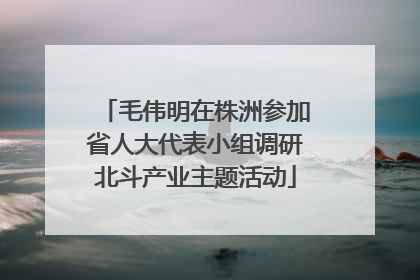 毛伟明在株洲参加省人大代表小组调研北斗产业主题活动
