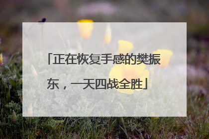 正在恢复手感的樊振东，一天四战全胜
