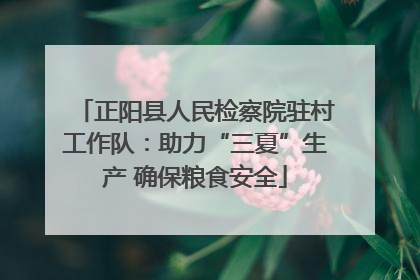 正阳县人民检察院驻村工作队：助力“三夏”生产 确保粮食安全