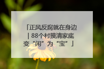 正风反腐就在身边｜88个村摸清家底变“闲”为“宝”