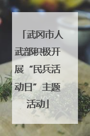 武冈市人武部积极开展“民兵活动日”主题活动