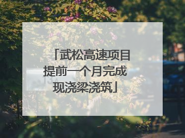 武松高速项目提前一个月完成现浇梁浇筑