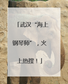 武汉“海上钢琴师”，火上热搜！
