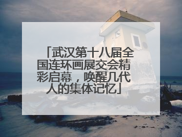 武汉第十八届全国连环画展交会精彩启幕，唤醒几代人的集体记忆