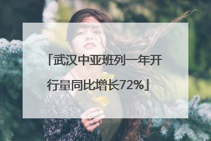武汉中亚班列一年开行量同比增长72%
