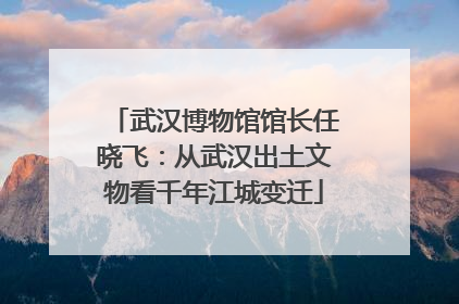 武汉博物馆馆长任晓飞：从武汉出土文物看千年江城变迁