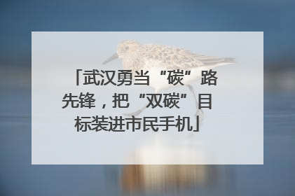 武汉勇当“碳”路先锋，把“双碳”目标装进市民手机