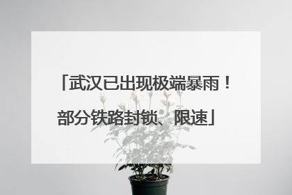 武汉已出现极端暴雨！部分铁路封锁、限速