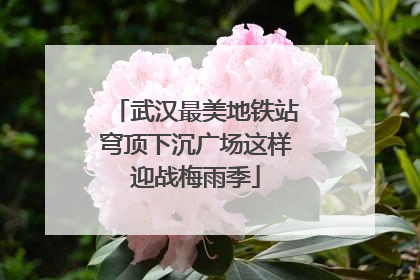 武汉最美地铁站穹顶下沉广场这样迎战梅雨季