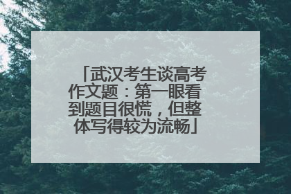 武汉考生谈高考作文题：第一眼看到题目很慌，但整体写得较为流畅