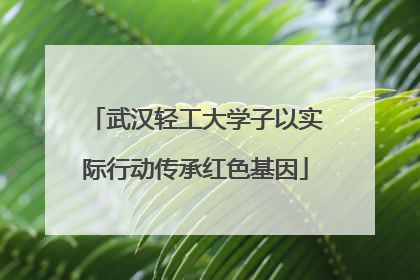 武汉轻工大学子以实际行动传承红色基因