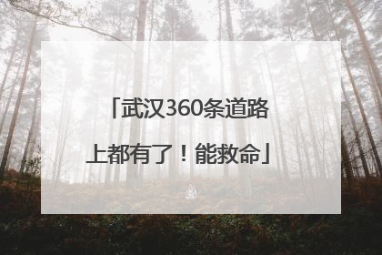 武汉360条道路上都有了！能救命