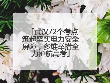 武汉72个考点筑起坚实电力安全屏障，多维举措全力护航高考