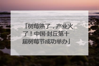 树莓熟了，产业火了！中国·封丘第十届树莓节成功举办