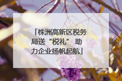 株洲高新区税务局送“税礼” 助力企业扬帆起航