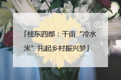 桂东四都：千亩“冷水米”托起乡村振兴梦