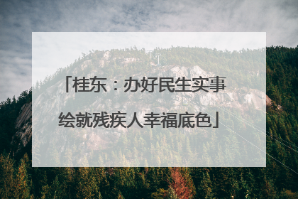 桂东：办好民生实事 绘就残疾人幸福底色