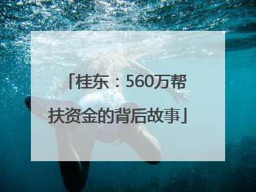 桂东：560万帮扶资金的背后故事