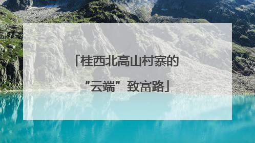 桂西北高山村寨的“云端”致富路