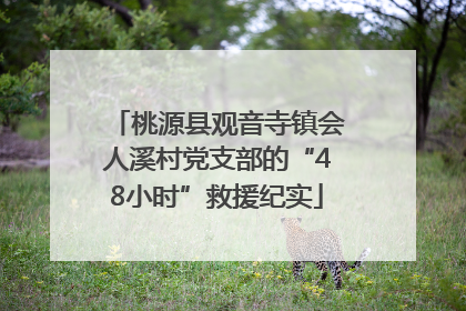 桃源县观音寺镇会人溪村党支部的“48小时”救援纪实