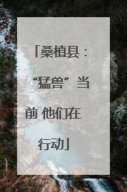 桑植县：“猛兽”当前 他们在行动