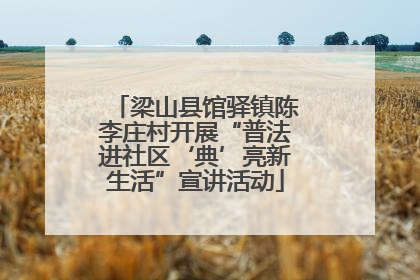 梁山县馆驿镇陈李庄村开展“普法进社区‘典’亮新生活”宣讲活动