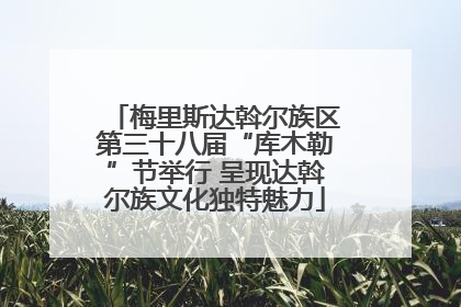 梅里斯达斡尔族区第三十八届“库木勒”节举行 呈现达斡尔族文化独特魅力