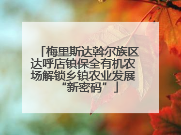 梅里斯达斡尔族区达呼店镇保全有机农场解锁乡镇农业发展“新密码”