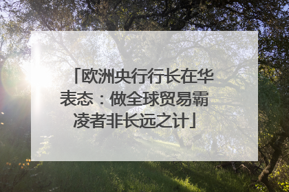 欧洲央行行长在华表态：做全球贸易霸凌者非长远之计