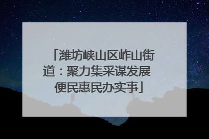 潍坊峡山区岞山街道：聚力集采谋发展 便民惠民办实事