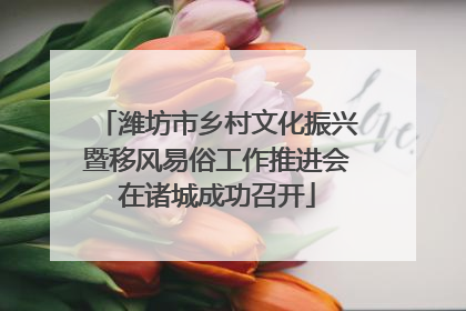 潍坊市乡村文化振兴暨移风易俗工作推进会在诸城成功召开