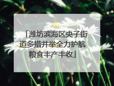 潍坊滨海区央子街道多措并举全力护航粮食丰产丰收