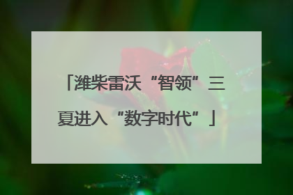 潍柴雷沃“智领”三夏进入“数字时代”