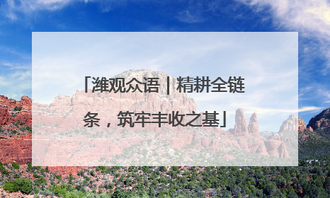 潍观众语｜精耕全链条，筑牢丰收之基