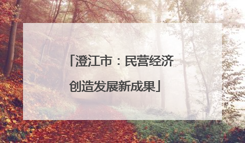 澄江市：民营经济创造发展新成果