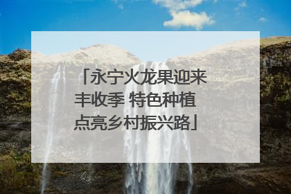 永宁火龙果迎来丰收季 特色种植点亮乡村振兴路