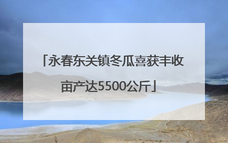 永春东关镇冬瓜喜获丰收 亩产达5500公斤
