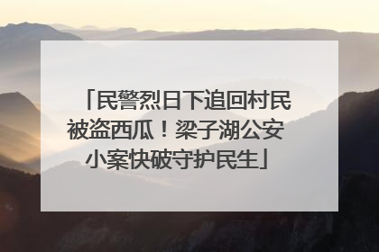 民警烈日下追回村民被盗西瓜！梁子湖公安小案快破守护民生