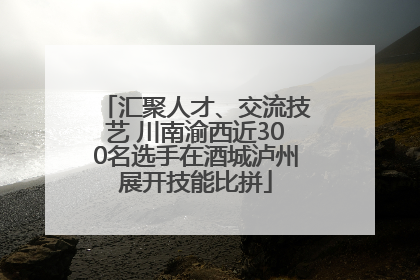 汇聚人才、交流技艺 川南渝西近300名选手在酒城泸州展开技能比拼