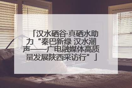 汉水硒谷·真硒水助力“秦巴新绿 汉水潮声——广电融媒体高质量发展陕西采访行”