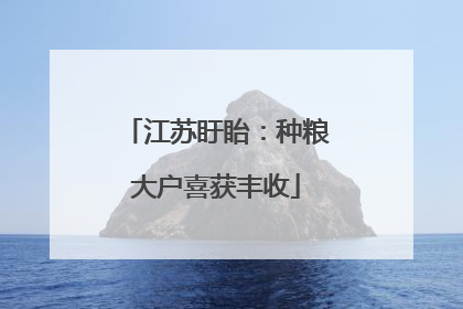 江苏盱眙：种粮大户喜获丰收