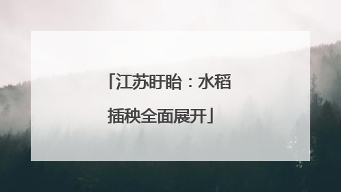 江苏盱眙：水稻插秧全面展开