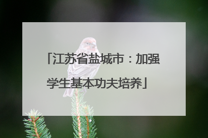江苏省盐城市：加强学生基本功夫培养