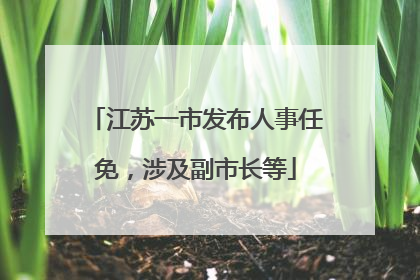 江苏一市发布人事任免，涉及副市长等