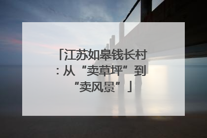 江苏如皋钱长村：从“卖草坪”到“卖风景”