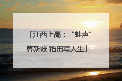 江西上高：“蛙声”算新账 稻田写人生